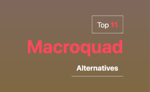 Best Macroquad alternatives in 2024