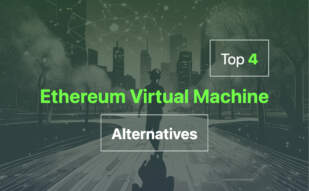 2024 top alternatives to Ethereum Virtual Machine