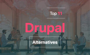 Exploring Drupal alternatives 2024