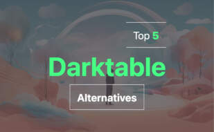 Alternatives to Darktable in 2024